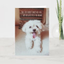 Search for tiny cards Dog