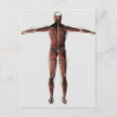 Search for anatomy postcards Human body