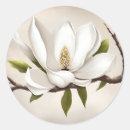 Search for magnolia tree stickers Floral