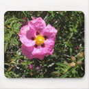 Search for mexican mousepads Flower