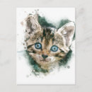 Search for here kitty kitty Animal