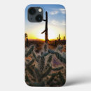 Search for saguaro iphone cases Landscape