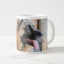 Search for big basin mugs Cute