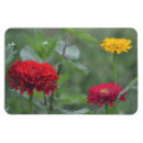 Search for impressionistic magnets Garden