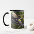 Search for warblers mugs Nature