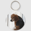 Search for beagle key rings Hounds