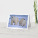 Search for bear cubs cards Bears