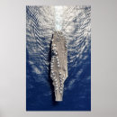 Search for truman art Military