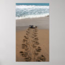 Search for trekking posters Nature