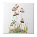 Search for mushroom tiles Nature