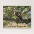 Search for australian birds puzzles Photography