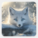 Search for fox stickers Arctic