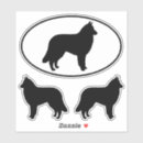 Search for tervs Belgian tervuren