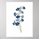 Search for botanical illustration posters Elegant