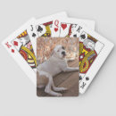 Search for eyes playing cards Animals