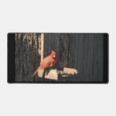 Search for cardinal bird electronics Cardinals