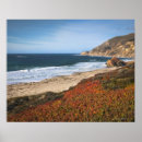 Search for big sur posters Nature