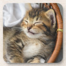 Search for tabby cat coasters Kitten