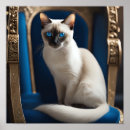 Search for siamese cats posters Pet