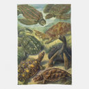 Search for tortoise tea towels Marine life