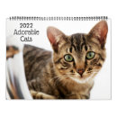 Search for humor calendars Kitty