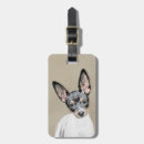 Search for rat travel accessories Dog