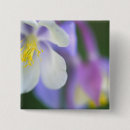 Search for columbine flower badges Purple