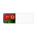 Search for red daisy return address labels Garden