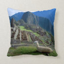 Search for peru cushions Landscape