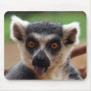Search for lemur mousepads Primate