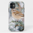Search for cedar electronics Avian