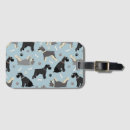 Search for pepper accessories Schnauzer