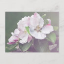 Search for beautiful spring postcards Garden