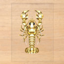 Search for lobster invitations Lobster seafood crab party