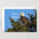 Search for bald eagles invitations Wildlife