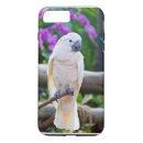 Search for cockatoos electronics Animals