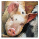 Search for pig tiles Funny