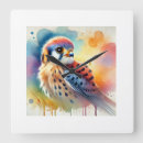 Search for kestrel art Hawk