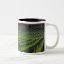 Search for distant mugs Landscape