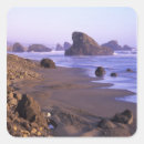 Search for northwest coast stickers Beach