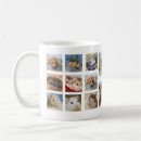 Search for gerbils Hamster