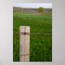 Search for barbe posters Country