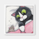 Search for companion magnets Cat