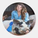 Search for swine magnets Pig