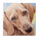 Search for dachshund tiles Pets