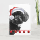 Search for toy poodle christmas cards Cute