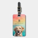 Search for yellow luggage tags Pretty