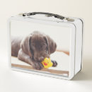 Search for rubber duck food Cute