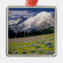 Search for mt rainier christmas tree decorations Flower