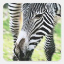 Search for focus stickers Outdoors
